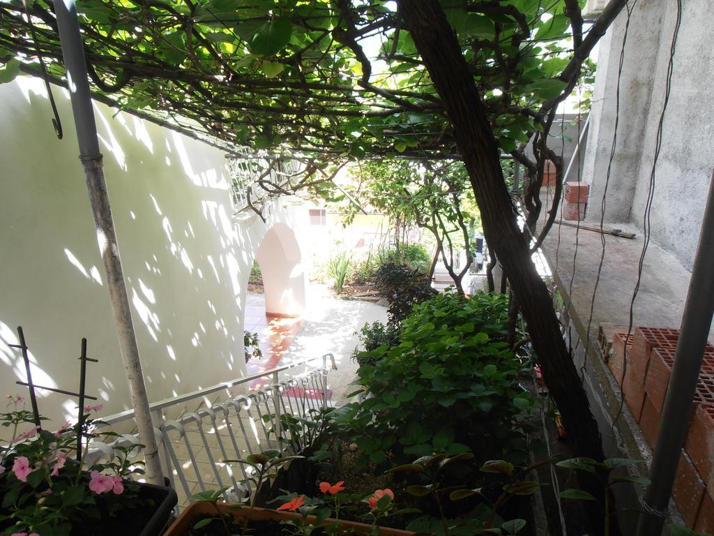 Apartmani Zeljko Vujovic Budva Bagian luar foto